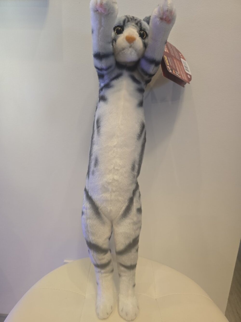 2025 UCC Crazy Kitten 20″ Standing Cat Plushy Gray WHITE TABBY Marble Striped